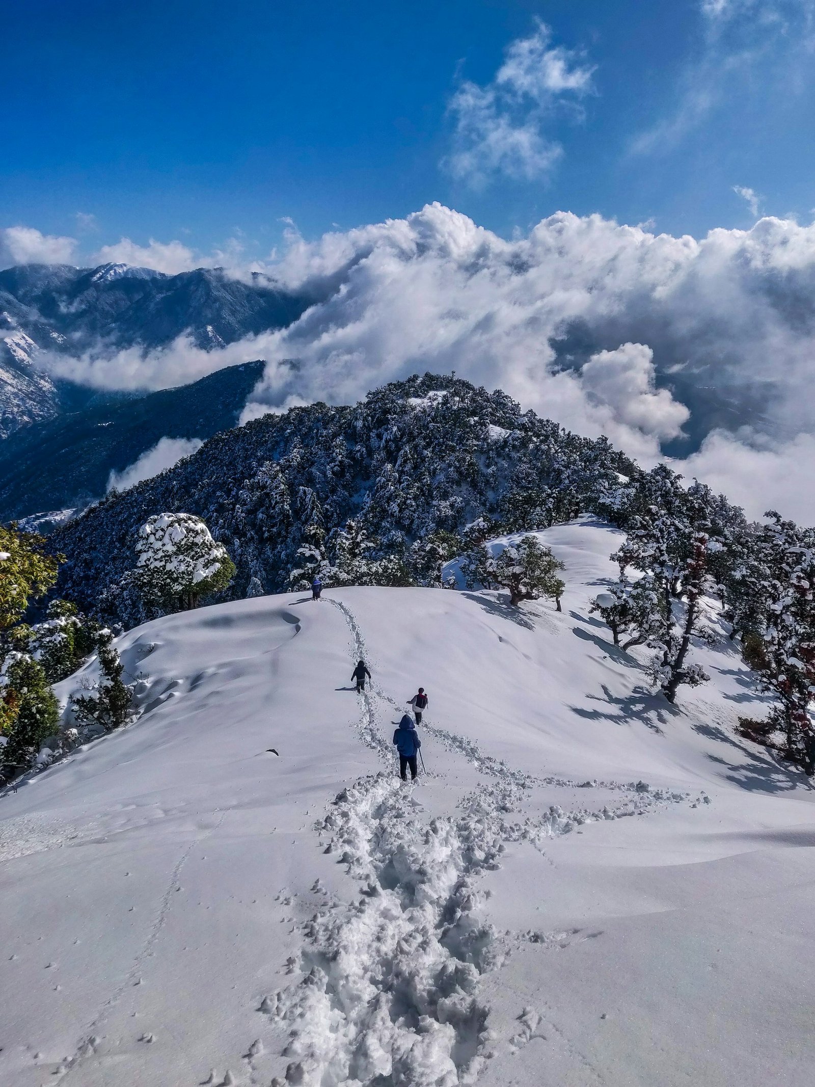 Kedarnath and Himalayan Mountain Pilgrimage Tour